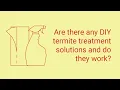 Can Termites Be Treated With DIY Techniques