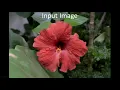 Local Laplacian Filters