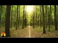 Download Lagu Study Music, Concentration, Focus, Meditation, Memory, Work Music, Relaxing Music, Study, ☯3237