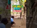 Download Lagu pak ndut gagal atraksi  #gendut #mintul #komedi #hiburan