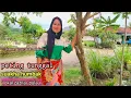 Lagu suakha humbak / persi zazila pulau suara nya mantap
