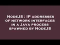 NodeJS IP addresses of network interfaces in a Java process spawned by NodeJS