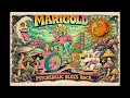 Lagu MARIGOLD | Field Hand [Full Album] (Psychedelic Blues Rock)