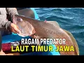 Lagu [FULL] RAGAM PREDATOR LAUT TIMUR JAWA | MANCING MANIA STRIKE BACK (14/09/25)