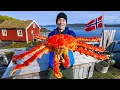Lagu Fly Here to Eat the World’s Best King Crab!!