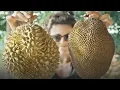 Jackfruit vs Durian What s the Difference