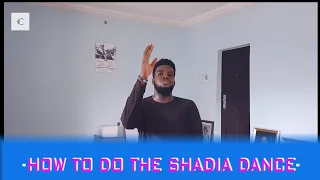 how to do the shadia dance shadia zanku tutorial balayachallenge