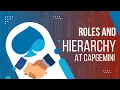 Roles in Capgemini