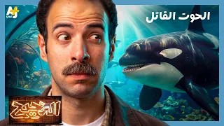 الدحيح | انتقام الحوت القاتل