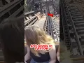This Man Jumped Out Of A Roller Coaster