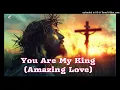 You Are My King Amazing Love - Contemporary Worship Song