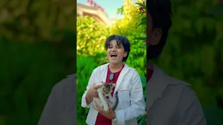 بابا هاتلى فانوس 