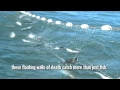 Gillnets in North Carolina