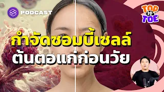 เซลล์ซอมบี้คืออะไร และเกิดขึ้นได้อย่างไร