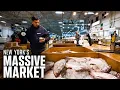 Largest Fish Market in the US Operating Fulton Fish Market Cooperative
