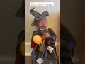 Pumpkin Time Witch