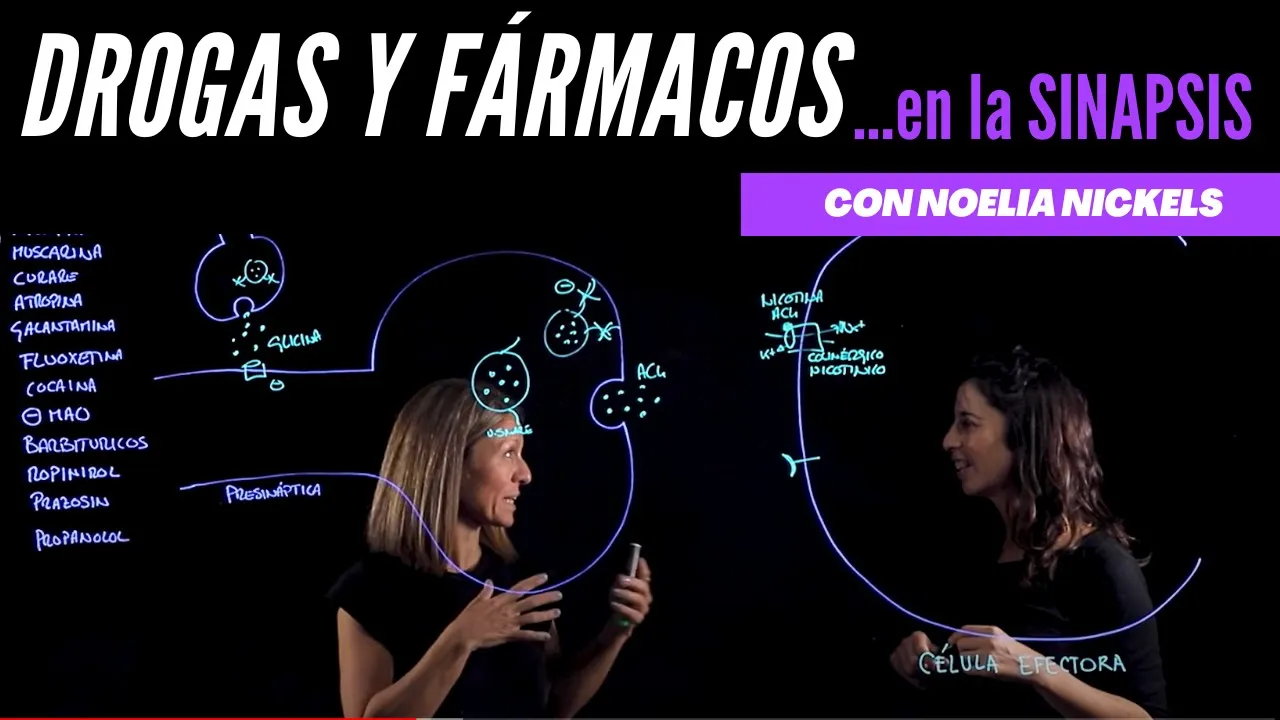 Mecanismo de acción de diferentes compuestos y fármacos en la sinapsis