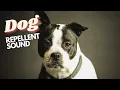 Download Lagu Suara Pengusir Anjing