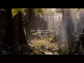 jxdn - Better Off Dead (432Hz)