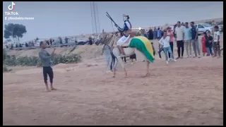 فرسان الخيل أولاد تليل 