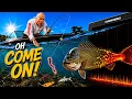 We Cracked the Code Why the Fish Wouldn t Bite Tech Proved It
