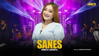 Download SHINTA ARSINTA - SANES | Feat. BINTANG FORTUNA ( Official Music Video ) MP3