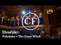 Lagu Dvořák: Polednice - Analýza a provedení (Marko Ivanović, Česká studentská filharmonie)