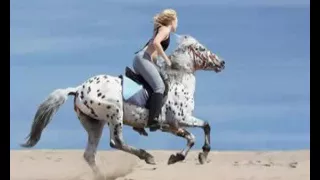 وائل جسار كان عندي غزال دندنها
