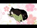 Lagu デキる猫は今日も憂鬱 OP「憂う門には福来たる」somei