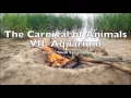 Download Lagu The Carnival of Animals VII Aquarium |  Camille Saint-Saëns 1 HOUR Loop Le carnaval des animaux