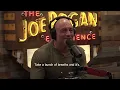 Joe Rogan Cold Plunge Ice Bath Discussion on the Main Health Benefits