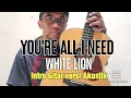 Download Lagu You're All I Need-White Lion | Intro Gitar #guitarcover #introgitar