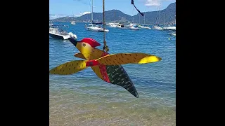 Check Out This Beautiful Brazilian Beach #shorts