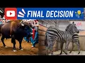 Exotic Animal Auction - Did I make the right decision Part 3