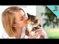 Do Cats Understand The Meaning Of A Kiss