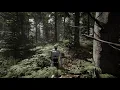 Procedural Forest Scene - Unity RP