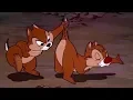Download Lagu ᴴᴰ Pato Donald y Chip y Dale dibujos animados - Pluto, Mickey Mouse Episodios Completos Nuevo 2019