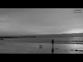 DETMOLT - MEMORIES