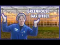 How Does the Greenhouse Effect Work