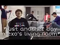 Download Lagu exo are their own species