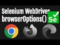 Google Chrome Browser Options - Simple Automation Tutorials with Selenium Java