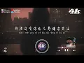 盧盧快閉嘴 - 流離『是不是那一刻 掌心空了，雨還下著 風靜止了。』【高音質|動態歌詞Lyrics】♫