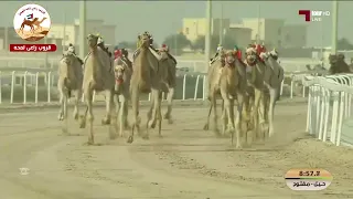 الشوط     سيف الحول المفتوح   دولة ل  هجن الرئاسة            مهرجان ختامي الشحانية        دندنها