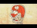 Incubus - Dig (Band/Fan Pick)
