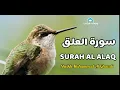Download Lagu Sheikh Muhammad Al Ghazali | Surah Al-Alaq