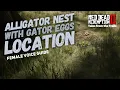 Red Dead Redemption 2 Gator Nest Aligator Eggs Female Guide Location