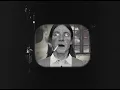 Orman - Palmiyeler