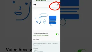 Phone control by voice access