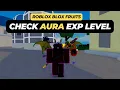 How to Check Your Aura Exp Level in Roblox Blox Fruits