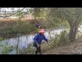 Lagu The season is open!! Setting traps with cicada bait in the canal during the dry season. Big Jack ...